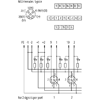 Répartiteur 8xM12 5p PNP-LED; Sans câble préconfectionné-Lire la description