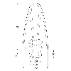 Bord sensible L=1840mm Câble 2 fils 2000mm + Terminaison