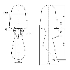 Avertisseur DEL WM continu 115-230VAC 108dB VERT