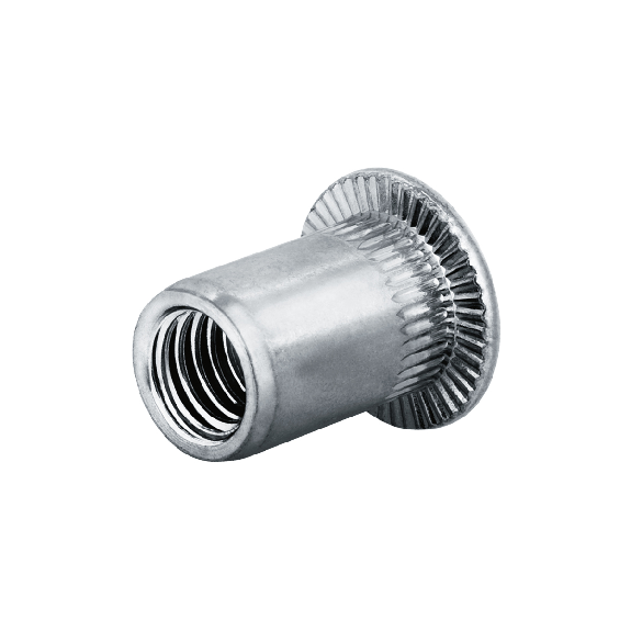 GO-NUT Écrou à sertir BM /ST /Fk /M8 /RsGer /Of  GO-NUT Sertissage: 3,0 - 5,5 mm - 250 pièces-Leggi tutto