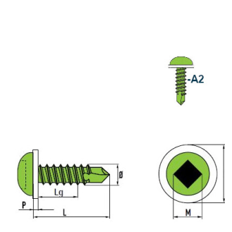 DIN 7504 SQ Vis Autoforeuse-Tête Cylindrique Bombée (SQ) Empreinte Carrée A2 PA 4,2x16 mm - avec SQ Bit 50mm - 500 pièces-Lire la description