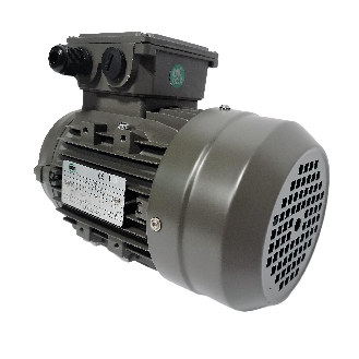 Moteur électrique triphasé 0.75 Kw – 230/400V – 3000Tr/min – bride B14 – IE3-Lire la description