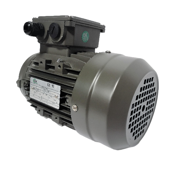 Moteur électrique triphasé 0.75 Kw – 230/400V – 3000Tr/min – bride B14 – IE3-Lire la description