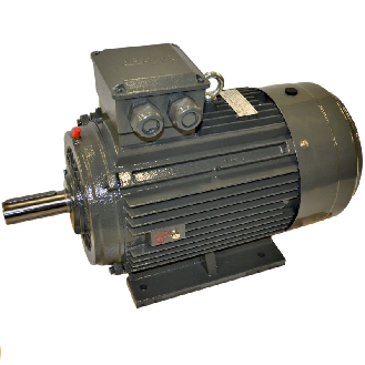 Moteur électrique triphasé 315 Kw - 3000 Tr/min - B3 - 400/690V - IE3-Lire la description