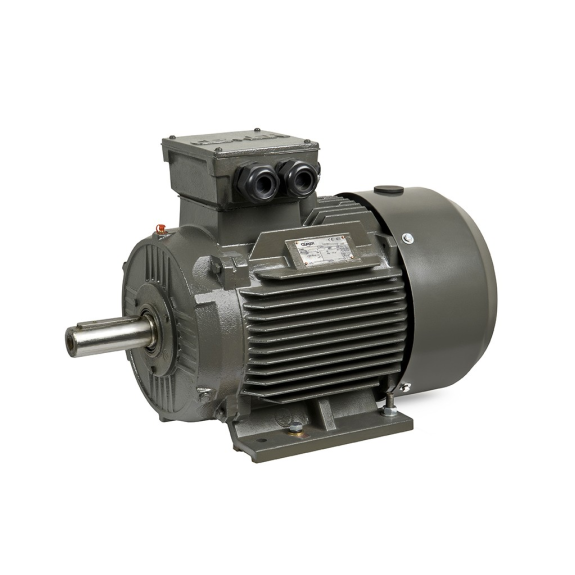 Moteur électrique triphasé 45kw 1500tr/min à pattes B3 - 400/690V - IE1-Lire la description