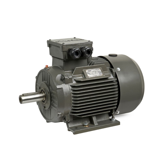 Moteur électrique triphasé 30kw 3000tr/min à pattes B3 - 400/690V - IE1-Lire la description