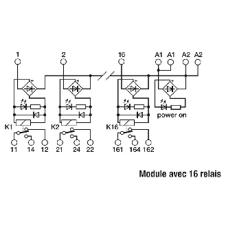 Module 16 Relais SPDT 12A-250VAC, 24VAC/DC Commun universel-Lire la description