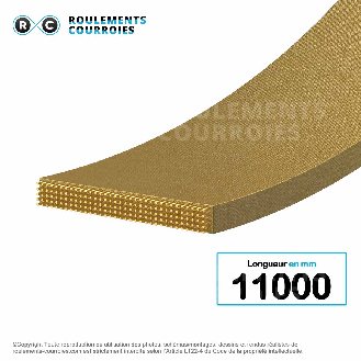 Courroie plate agrafable 11000 mm-Lire la description