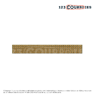 Courroie plate agrafable CP3-30-18000-Lire la description