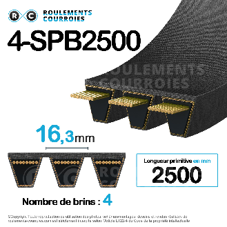 Courroie multibrins lisse 4-SPB2500-Lire la description