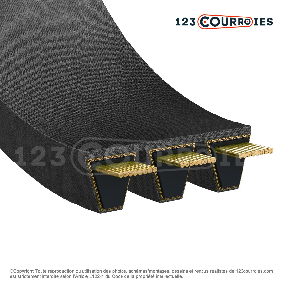 Courroie multibrins lisse 2-SPC4000-Beschreibung lesen