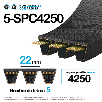 Courroie multibrins lisse 5-SPC4250-Lire la description