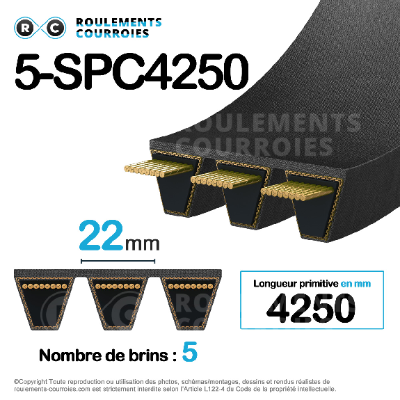 Courroie multibrins lisse 5-SPC4250-Lire la description