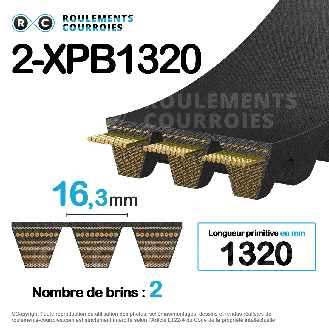 Courroie multibrins crantée 2-XPB1320-Lire la description
