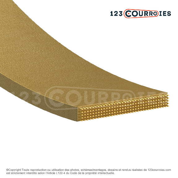 Courroie plate agrafable 4000 mm Courroie plate agrafable 4000 mm-Lire la description