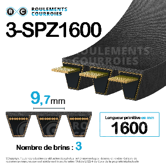 Courroie multibrins lisse 3-SPZ1600-Lire la description
