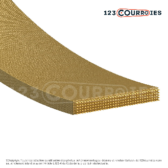 Courroie plate agrafable 100 mm x 4000 mm-Lire la description