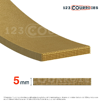 Courroie plate agrafable 100 mm x 4000 mm-Lire la description