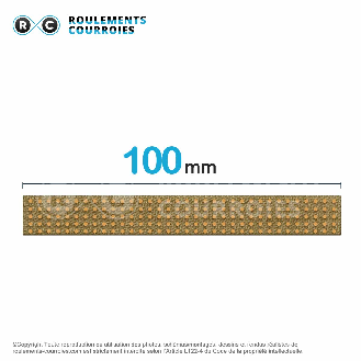Courroie plate agrafable 100 mm x 4000 mm-Lire la description