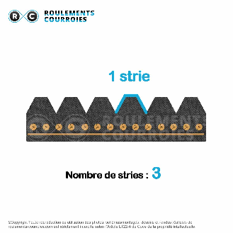 Courroie Poly-V striée automobile Générique 3PK880-Lire la description