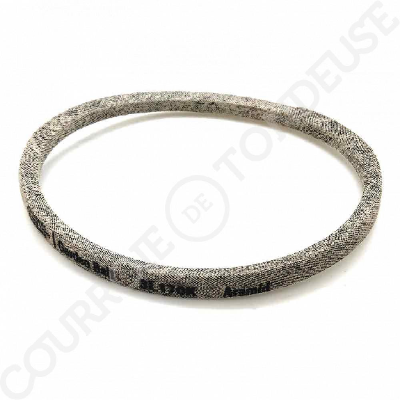 Courroie de tondeuse renforcée kevlar 3L170-Lire la description