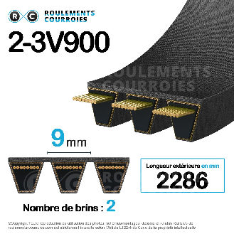 Courroie multibrins lisse 2-3V900-Lire la description