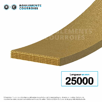 Courroie plate agrafable 25000 mm-Lire la description