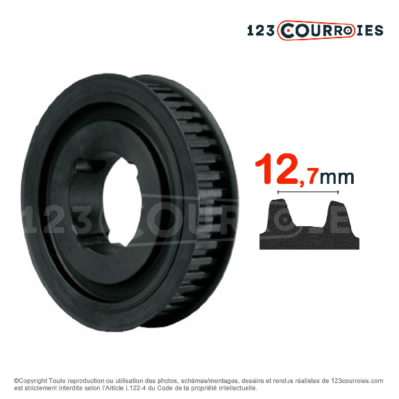 Poulie dentée moyeu amovible PDH30032MA-Leggi tutto