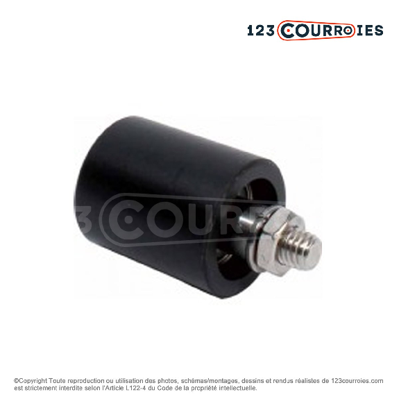Poulie tendeur polyamide RE5-