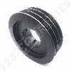 Poulie trapézoïdale moyeu amovible SPB200/3MA