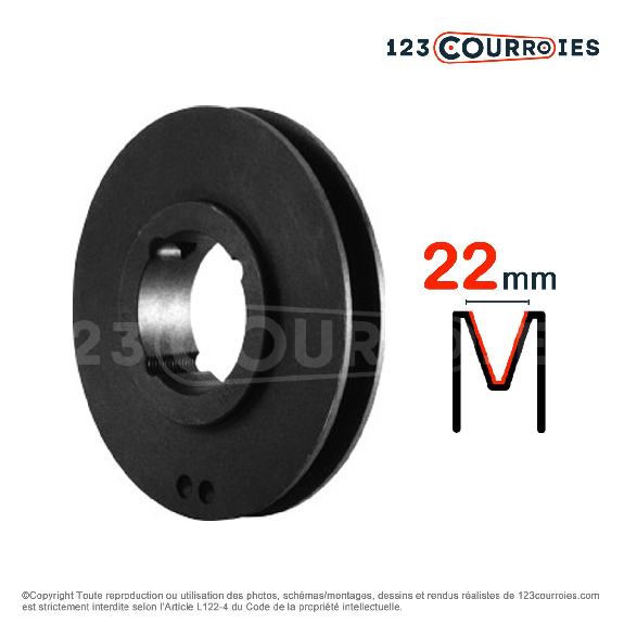 Poulie trapézoïdale moyeu amovible SPC560/5MA-Leggi tutto