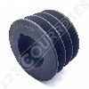 Poulie trapézoïdale moyeu amovible SPB100/3MA