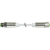 M12 Mâle Droit 4p/M12 Fem Droit 4p Inox F&B; PVC 4x0,34 Gris 7,5m