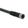 M08 Droit 8p; Câble Noir 10m