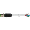 M12A Mâle Droit; Câble PUR-OB 12x0,25 Gris 10m