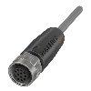 M12A Fem Droit 12p; Câble PVC 12x0.25 Gris Cpc 5m (30V)