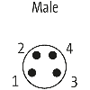 M08A Mâle Droit 4p; Câble PUR UL/CSA 4x0.25 Gris Cpc 10m