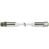M12 Mâle Droit 4p/M12 Fem Droit 4p Inox F&B; PVC 4x0,34 Gris 3m