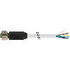 M12A Fem Droit 12p; Câble PUR (UL/CSA) 12x0,25 Gris Cpc 10m