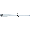 M08A Fem Droit 4p Inox V4A F&B; Câble PP 4x0.34 Gris 2m