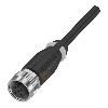 M12A Ex Fem Droit 5p; Câble PUR 3x0.34 Noir 2m (250V)