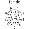 M12A Fem Coudé 12p; Câble PUR 12x0,25 Gris Cpc 5m