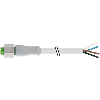 M12A Fem Droit 4p Inox V4A F&B; Câble PVC 4x0,34 Gris 10m
