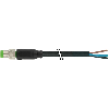 M08A Mâle Droit 4p; Câble PVC UL/CSA Noir 10m