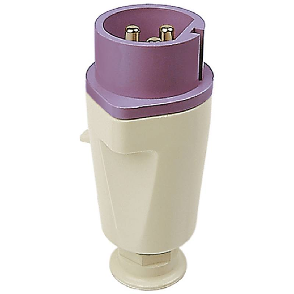 Fiche, presse-étoupe PG21 2x 32A, 24V IP44-Leggi tutto