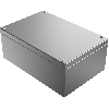Boîtier Standard inox 304, 300x200x121mm (HxLxP), IP66, ss perç. mur.