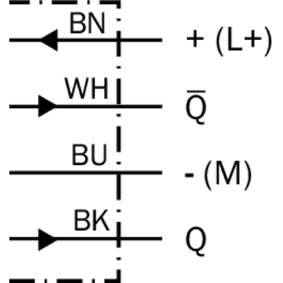 Cellule Bar. reflex transp. M18 PNP P=7.2m LO/DO Plast. Axial / C2m Cellule Bar. reflex transp. M18 PNP P=7.2m LO/DO Plast. Axial / C2m-Lire la description