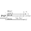 Cellule Directe M18 PNP P=430mm Teach IR LO/DO Métal Axial / Câble 2m