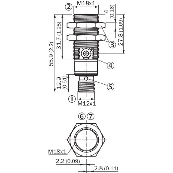 Cellule Directe M18 PNP P=1m Pot. LR LO/DO Inox Axial / M12 4P-Lire la description