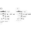 Cellule Barrage (E+R) PNP P=5m PinPoint LO / M12 4P+C0.15m